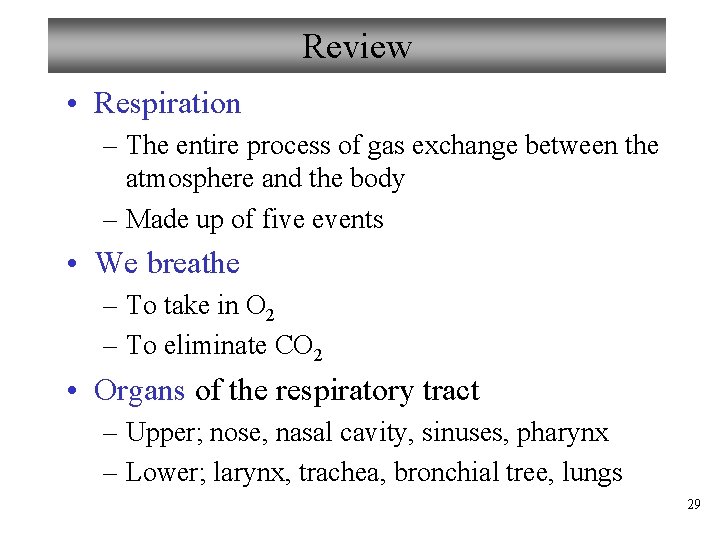 Review • Respiration – The entire process of gas exchange between the atmosphere and