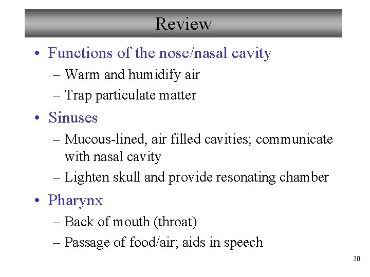 Review • Functions of the nose/nasal cavity – Warm and humidify air – Trap