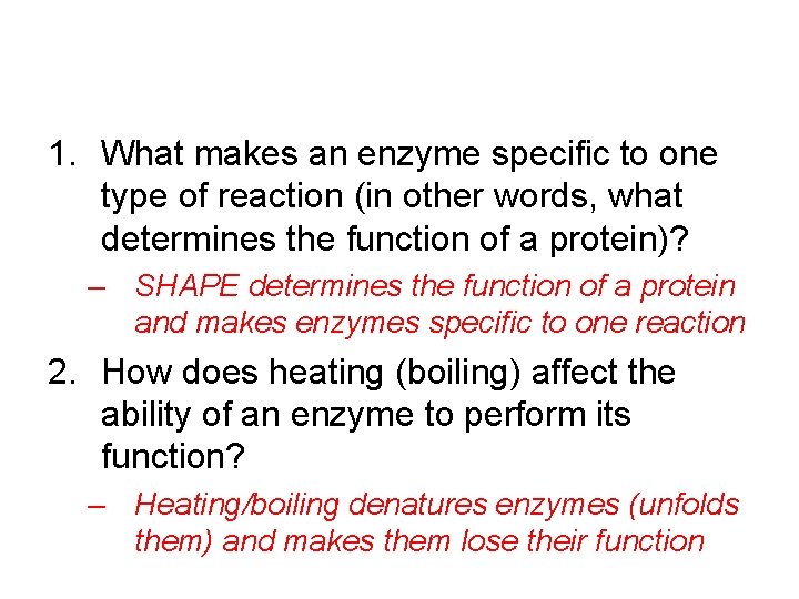 1. What makes an enzyme specific to one type of reaction (in other words,