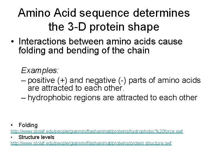Amino Acid sequence determines the 3 -D protein shape • Interactions between amino acids