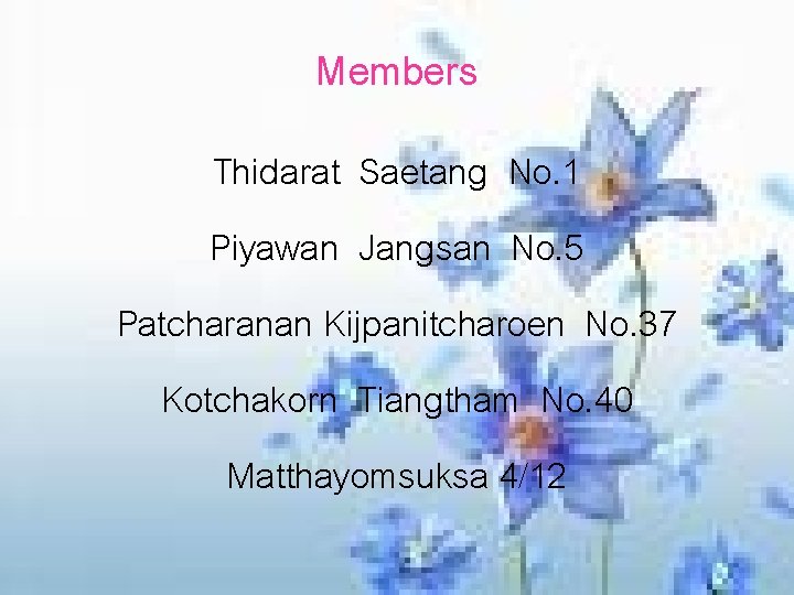 Members Thidarat Saetang No. 1 Piyawan Jangsan No. 5 Patcharanan Kijpanitcharoen No. 37 Kotchakorn