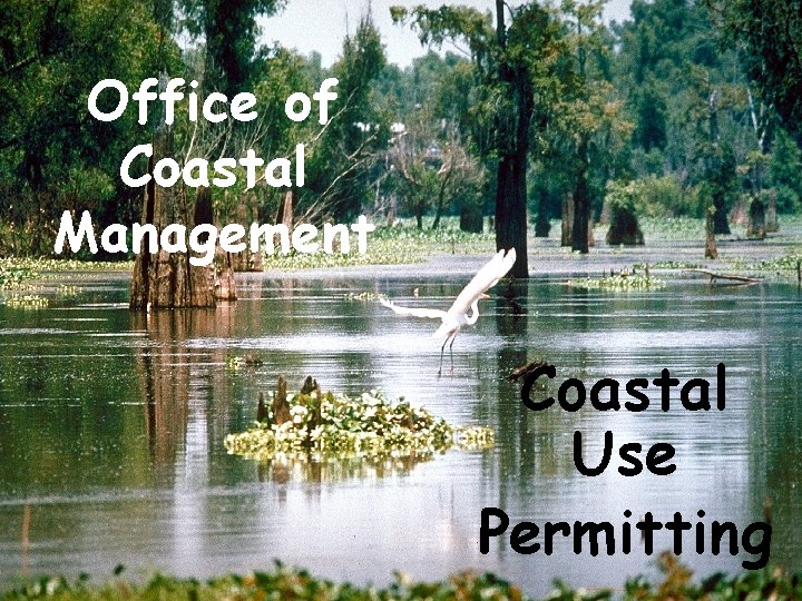 Office of Coastal Management Coastal Use Permitting Office of Coastal Management Coastal Use Permitting