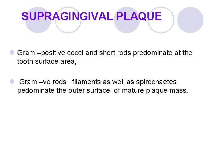 SUPRAGINGIVAL PLAQUE l Gram –positive cocci and short rods predominate at the tooth surface SUPRAGINGIVAL PLAQUE l Gram –positive cocci and short rods predominate at the tooth surface