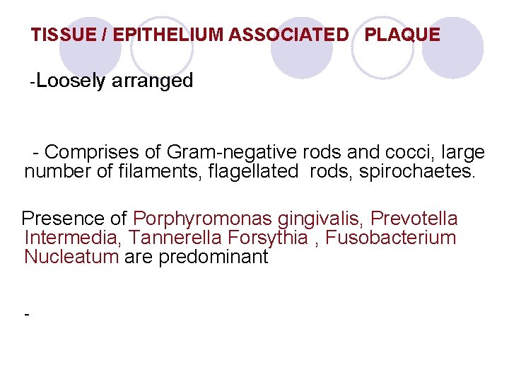 TISSUE / EPITHELIUM ASSOCIATED PLAQUE -Loosely arranged - Comprises of Gram-negative rods and cocci, TISSUE / EPITHELIUM ASSOCIATED PLAQUE -Loosely arranged - Comprises of Gram-negative rods and cocci,