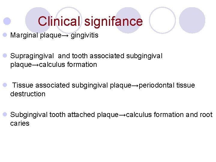 l Clinical signifance l Marginal plaque→ gingivitis l Supragingival and tooth associated subgingival plaque→calculus l Clinical signifance l Marginal plaque→ gingivitis l Supragingival and tooth associated subgingival plaque→calculus