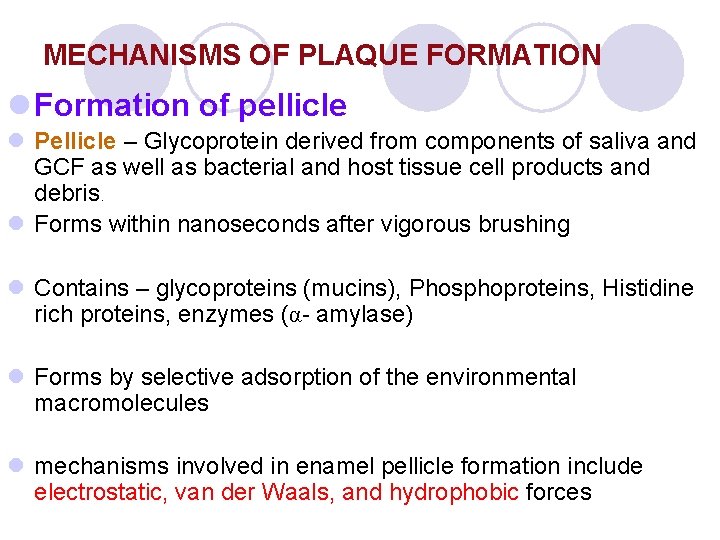 MECHANISMS OF PLAQUE FORMATION l Formation of pellicle l Pellicle – Glycoprotein derived from MECHANISMS OF PLAQUE FORMATION l Formation of pellicle l Pellicle – Glycoprotein derived from