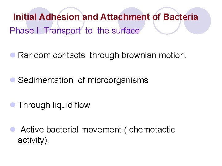 Initial Adhesion and Attachment of Bacteria Phase I: Transport to the surface l Random Initial Adhesion and Attachment of Bacteria Phase I: Transport to the surface l Random
