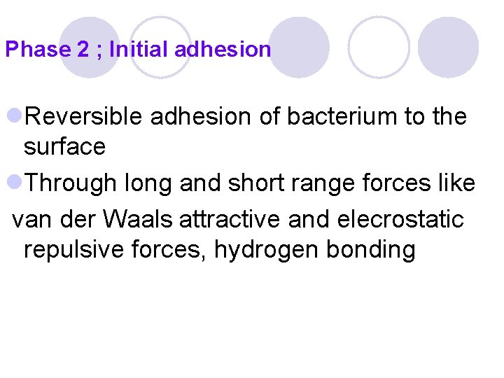 Phase 2 ; Initial adhesion l. Reversible adhesion of bacterium to the surface l. Phase 2 ; Initial adhesion l. Reversible adhesion of bacterium to the surface l.