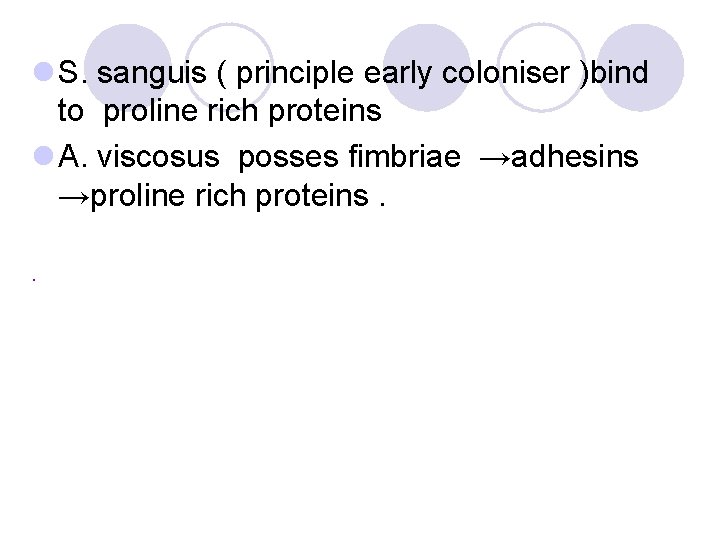 l S. sanguis ( principle early coloniser )bind to proline rich proteins l A. l S. sanguis ( principle early coloniser )bind to proline rich proteins l A.