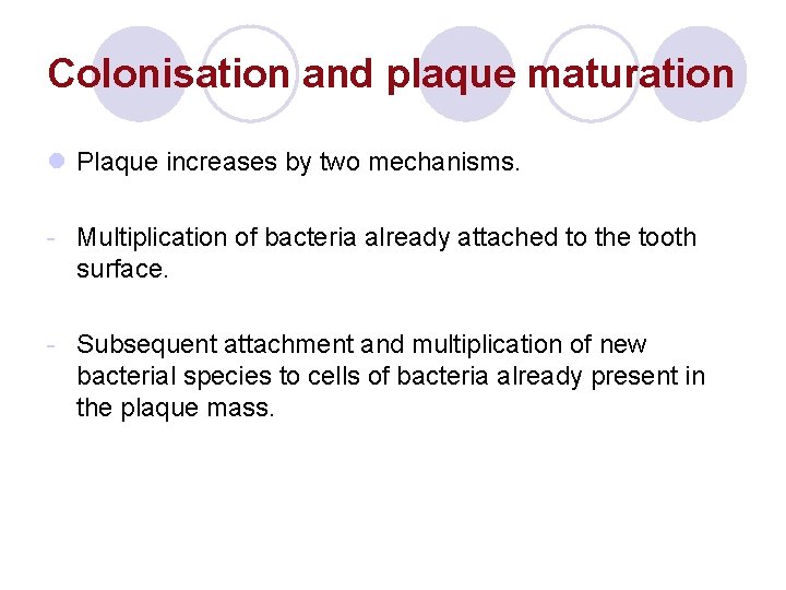 Colonisation and plaque maturation l Plaque increases by two mechanisms. - Multiplication of bacteria Colonisation and plaque maturation l Plaque increases by two mechanisms. - Multiplication of bacteria