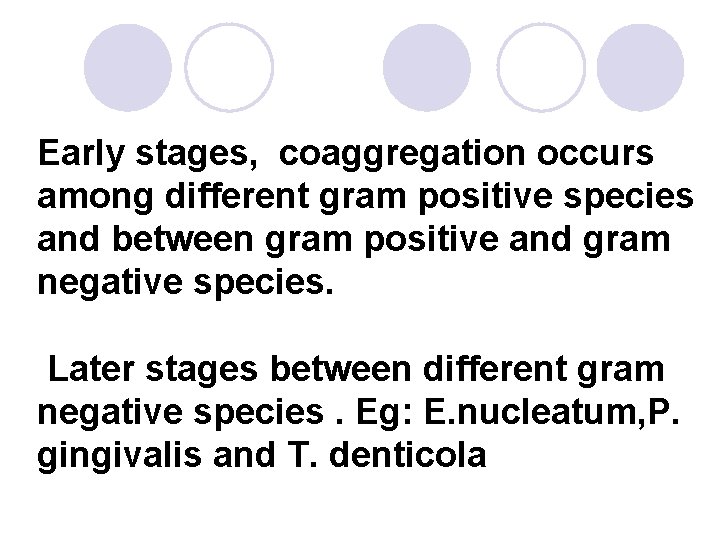 Early stages, coaggregation occurs among different gram positive species and between gram positive and Early stages, coaggregation occurs among different gram positive species and between gram positive and