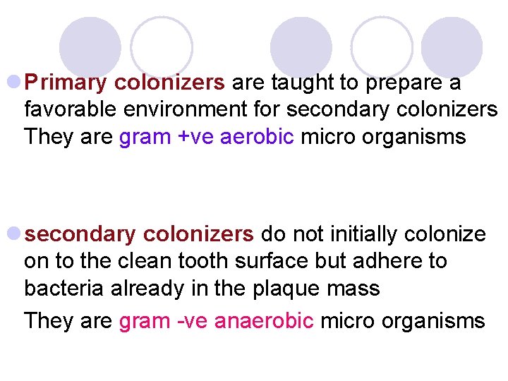 l Primary colonizers are taught to prepare a favorable environment for secondary colonizers They l Primary colonizers are taught to prepare a favorable environment for secondary colonizers They