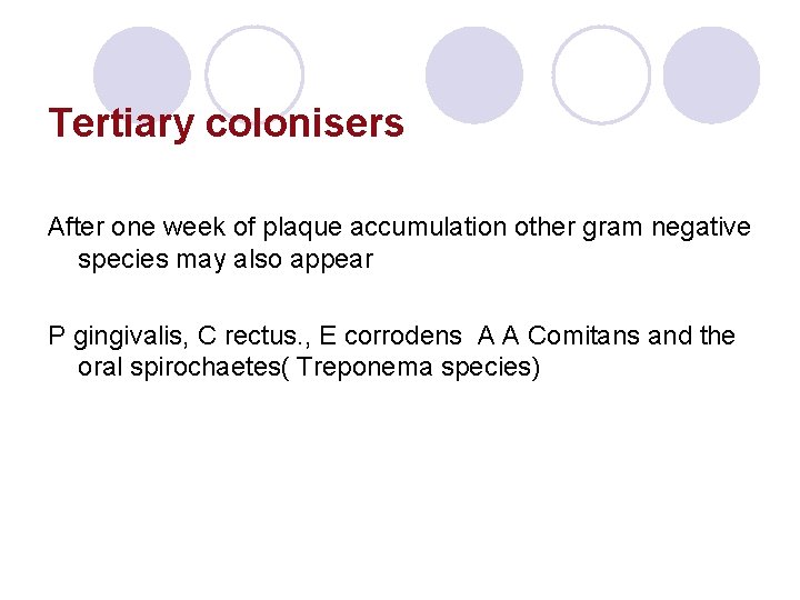 Tertiary colonisers After one week of plaque accumulation other gram negative species may also Tertiary colonisers After one week of plaque accumulation other gram negative species may also