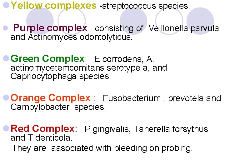 l Yellow complexes -streptococcus species. l Purple complex consisting of Veillonella parvula and Actinomyces l Yellow complexes -streptococcus species. l Purple complex consisting of Veillonella parvula and Actinomyces