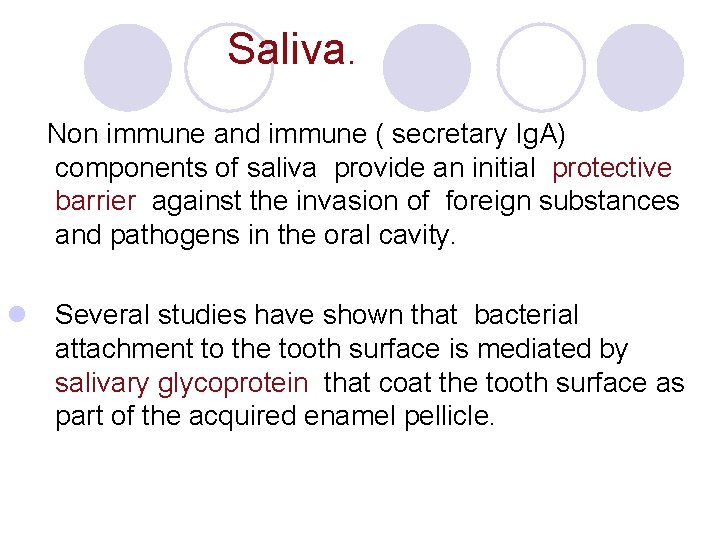 Saliva. Non immune and immune ( secretary Ig. A) components of saliva provide an Saliva. Non immune and immune ( secretary Ig. A) components of saliva provide an