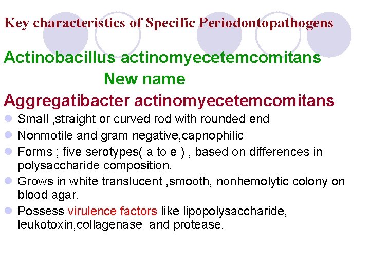 Key characteristics of Specific Periodontopathogens Actinobacillus actinomyecetemcomitans New name Aggregatibacter actinomyecetemcomitans l Small , Key characteristics of Specific Periodontopathogens Actinobacillus actinomyecetemcomitans New name Aggregatibacter actinomyecetemcomitans l Small ,