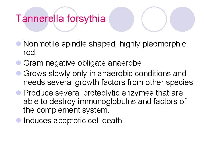 Tannerella forsythia l Nonmotile, spindle shaped, highly pleomorphic rod, l Gram negative obligate anaerobe Tannerella forsythia l Nonmotile, spindle shaped, highly pleomorphic rod, l Gram negative obligate anaerobe