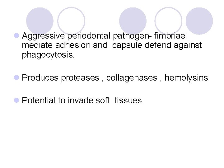 l Aggressive periodontal pathogen- fimbriae mediate adhesion and capsule defend against phagocytosis. l Produces l Aggressive periodontal pathogen- fimbriae mediate adhesion and capsule defend against phagocytosis. l Produces