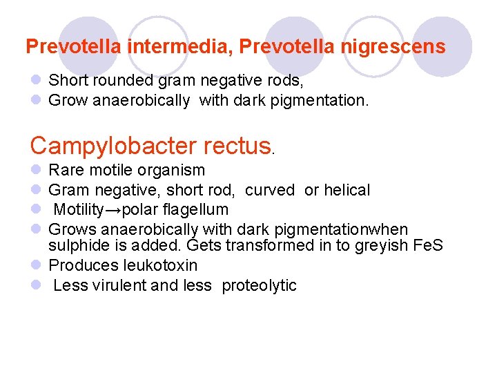 Prevotella intermedia, Prevotella nigrescens l Short rounded gram negative rods, l Grow anaerobically with Prevotella intermedia, Prevotella nigrescens l Short rounded gram negative rods, l Grow anaerobically with