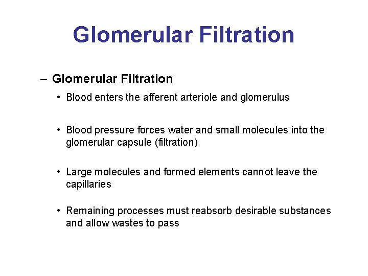 Glomerular Filtration – Glomerular Filtration • Blood enters the afferent arteriole and glomerulus •