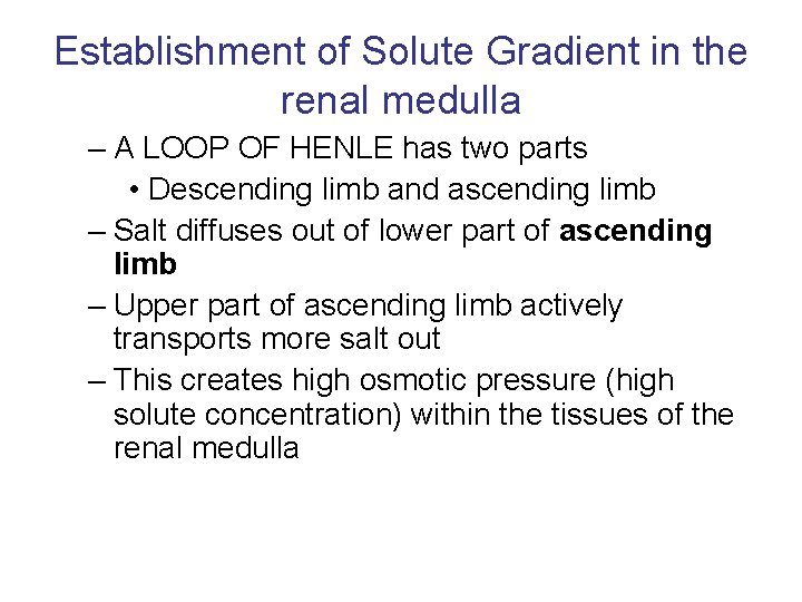 Establishment of Solute Gradient in the renal medulla – A LOOP OF HENLE has