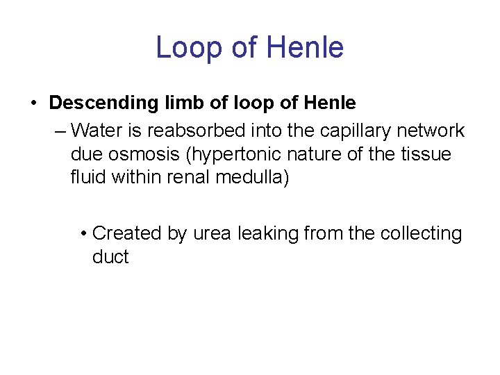 Loop of Henle • Descending limb of loop of Henle – Water is reabsorbed