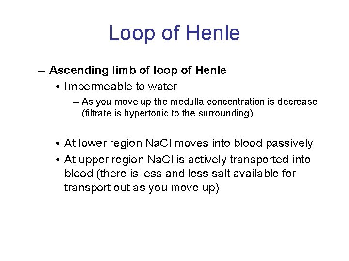 Loop of Henle – Ascending limb of loop of Henle • Impermeable to water