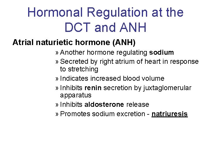 Hormonal Regulation at the DCT and ANH Atrial naturietic hormone (ANH) » Another hormone