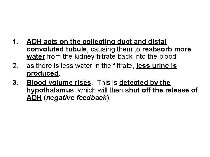 1. 2. 3. ADH acts on the collecting duct and distal convoluted tubule, causing