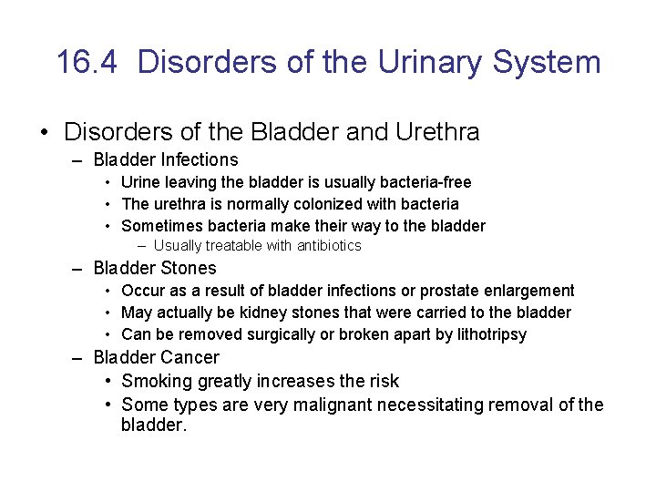 16. 4 Disorders of the Urinary System • Disorders of the Bladder and Urethra