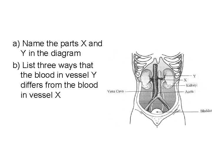 a) Name the parts X and Y in the diagram b) List three ways