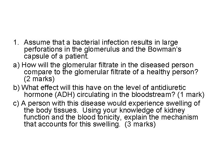 1. Assume that a bacterial infection results in large perforations in the glomerulus and