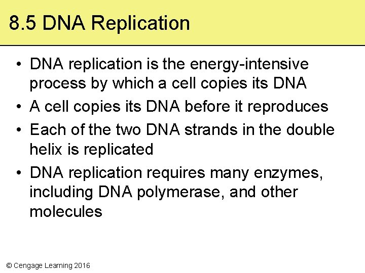 Chapter 8 DNA Structure and Function Cengage Learning