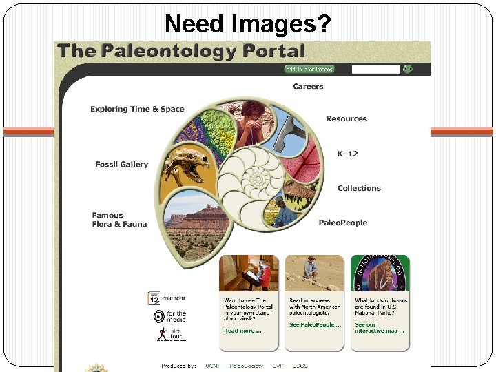 Need Images? http: //www. paleoportal. org 