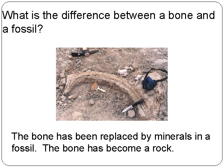 What is the difference between a bone and a fossil? The bone has been