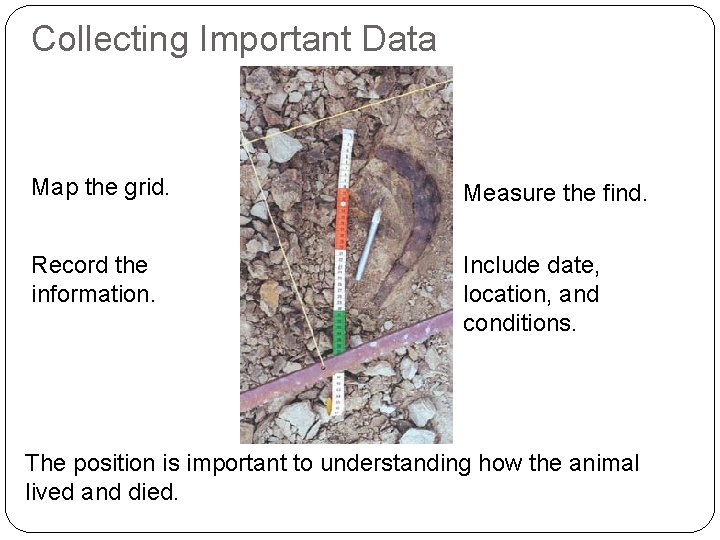 Collecting Important Data Map the grid. Measure the find. Record the information. Include date,