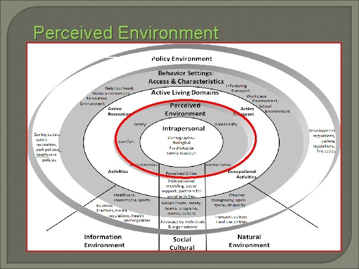 Perceived Environment Policy Sallis et al. , 2006 
