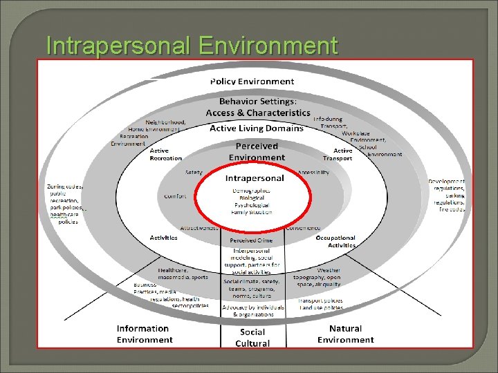 Intrapersonal Environment Policy Sallis et al. , 2006 