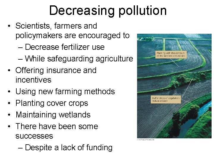 Decreasing pollution • Scientists, farmers and policymakers are encouraged to – Decrease fertilizer use