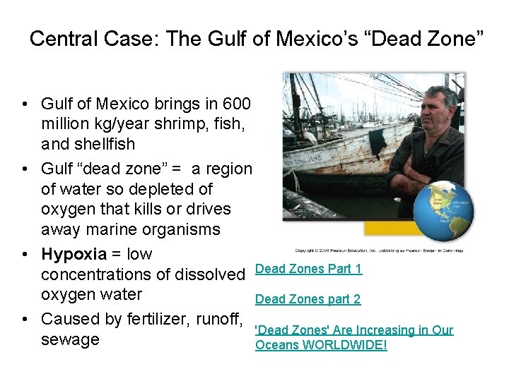 Central Case: The Gulf of Mexico’s “Dead Zone” • Gulf of Mexico brings in