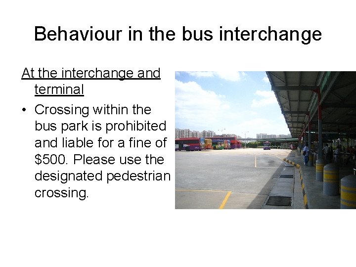 Behaviour in the bus interchange At the interchange and terminal • Crossing within the