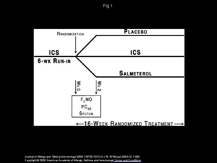 Fig 1 Journal of Allergy and Clinical Immunology 2005 115720 -727 DOI: (10. 1016/j.