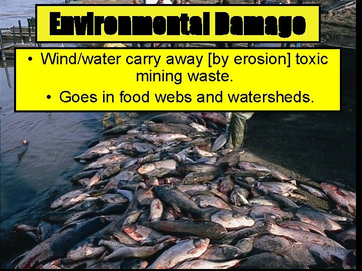 Environmental Damage • Wind/water carry away [by erosion] toxic mining waste. • Goes in