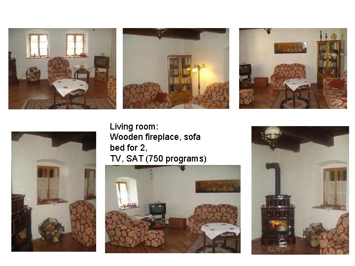 Living room: Wooden fireplace, sofa bed for 2, TV, SAT (750 programs) 