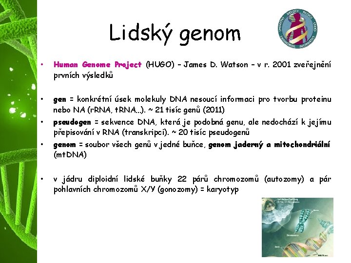 Lidský genom • Human Genome Project (HUGO) – James D. Watson – v r.
