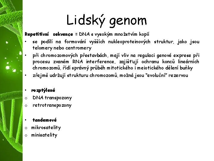 Lidský genom Repetitivní sekvence = DNA s vysokým množstvím kopií • se podílí na