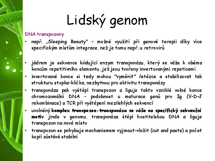 Lidský genom DNA transpozony • např. „Sleeping Beauty“ – možné využití při genové terapii