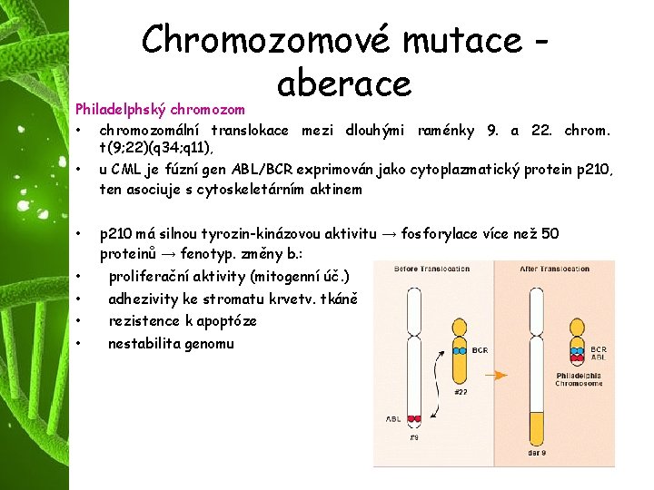 Chromozomové mutace aberace Philadelphský chromozom • chromozomální translokace mezi dlouhými raménky 9. a 22.