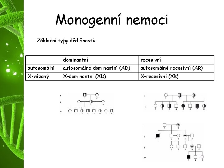 Monogenní nemoci Základní typy dědičnosti: dominantní recesivní autosomálně dominantní (AD) autosomálně recesivní (AR) X-vázaný