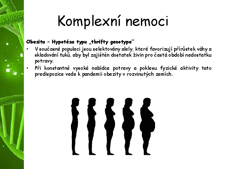 Komplexní nemoci Obezita – Hypotéza typu „thrifty genotype“ • V současné populaci jsou selektovány